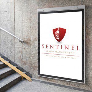 Forza SentinelBrandManagementbrandingdesignwork